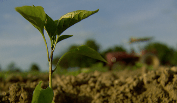 Screenshot 2019-01-02 12.19.33