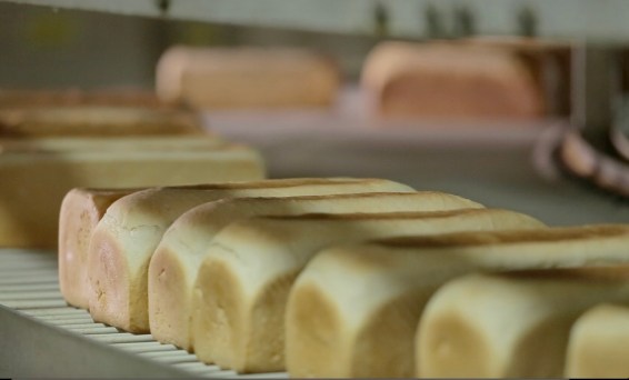 screenshot 2019-12-29 12.03.32